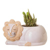 Sass & Belle Safari Leo Lion Gift Boxed Ceramic Planter
